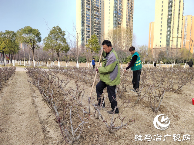 駐馬店開源公園：不負(fù)春季好時光 綠化養(yǎng)護(hù)正當(dāng)時