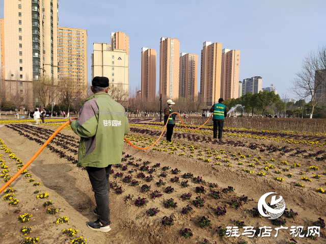 駐馬店開源公園：不負(fù)春季好時光 綠化養(yǎng)護(hù)正當(dāng)時