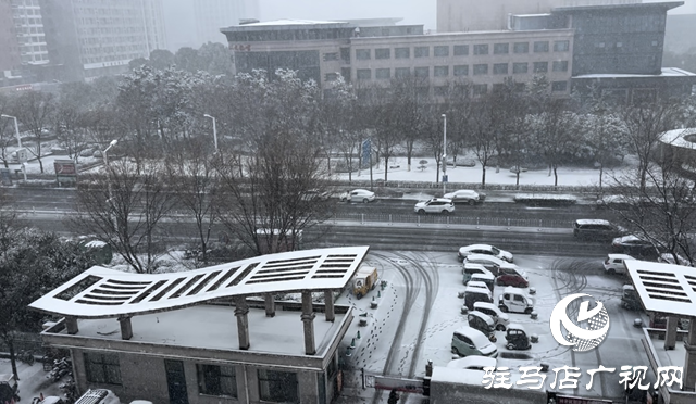 駐馬店：加強農(nóng)田管理 應對雨雪天氣