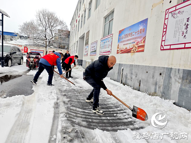 平輿縣李屯鎮(zhèn)：除雪行動暖人心 志愿服務展風采