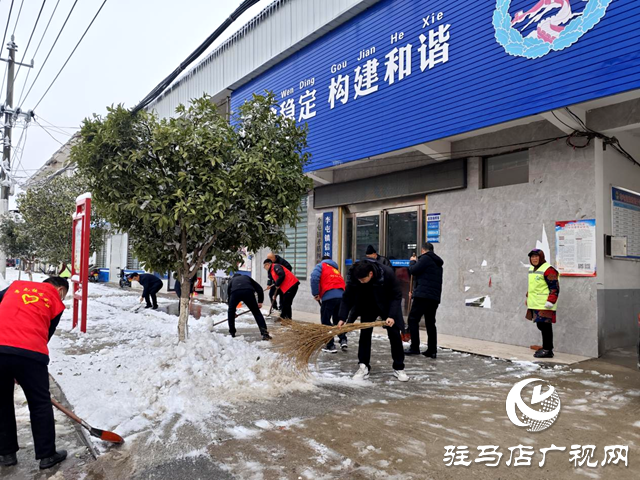 平輿縣李屯鎮(zhèn)：除雪行動暖人心 志愿服務展風采