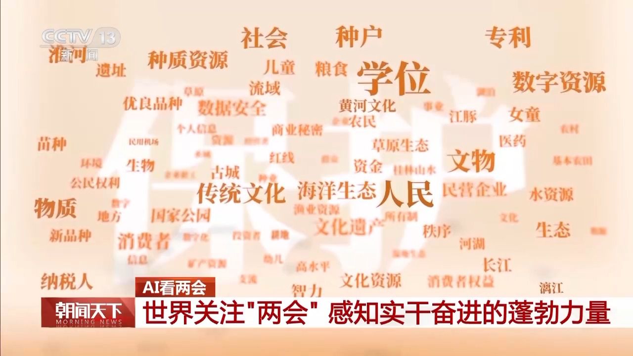 協(xié)商、調(diào)研、服務(wù)……AI帶你了解兩會(huì)高頻詞都有哪些