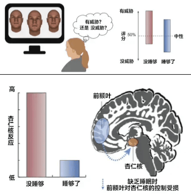 你以為的正?，F(xiàn)象，其實是睡眠不足！這份“熬夜急救包”請收好