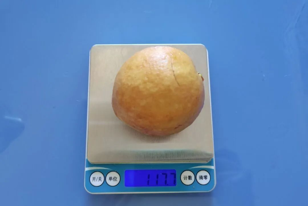 這種水果維C比蘋果高21倍，春天吃正好！