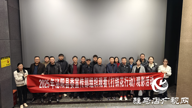 泌陽縣宣傳系統(tǒng)組織觀看電影《打鐵花行動(dòng)》