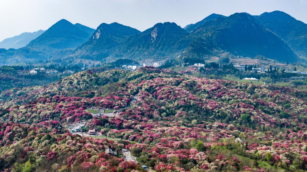 接下來這半個多月，這些地方會很美！