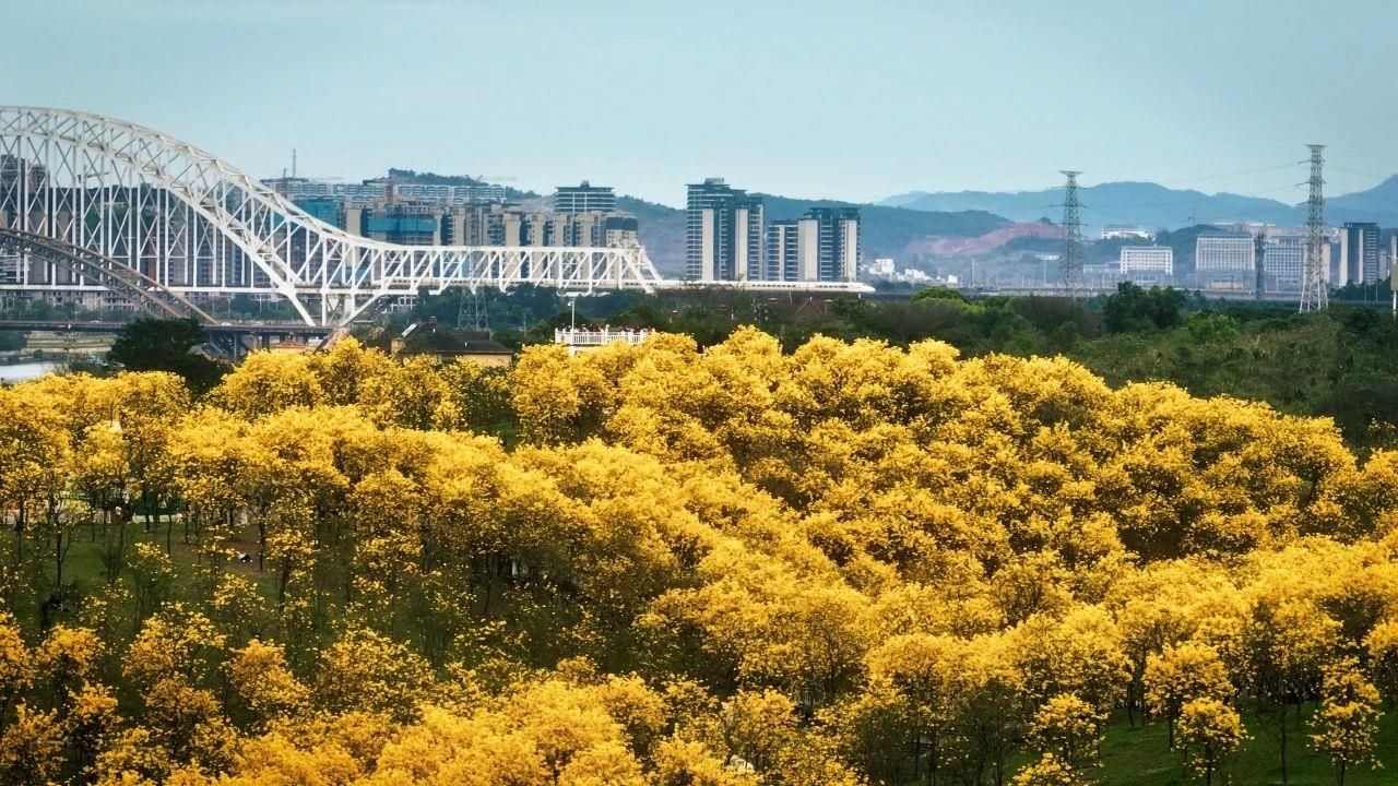 春意漸濃，這條高鐵沿線的寶藏城市“藏不住”了！