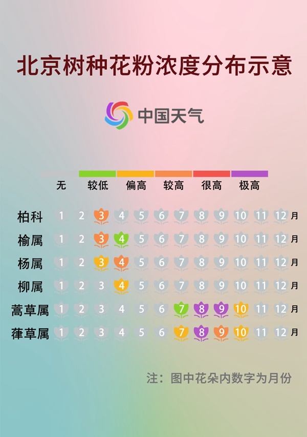 前方噴嚏警告！又到花粉過敏季，四招教你有效預(yù)防