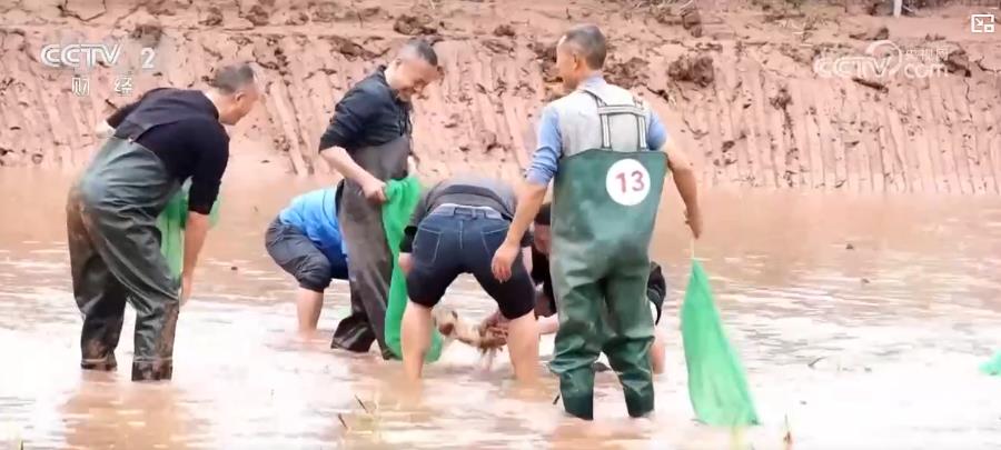 以“花”為媒、以“旅”促農(nóng) 勾勒鄉(xiāng)村振興新圖景