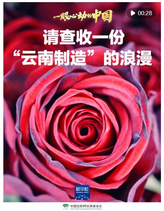 一眼心動(dòng)的中國｜請查收一份“云南制造”的浪漫