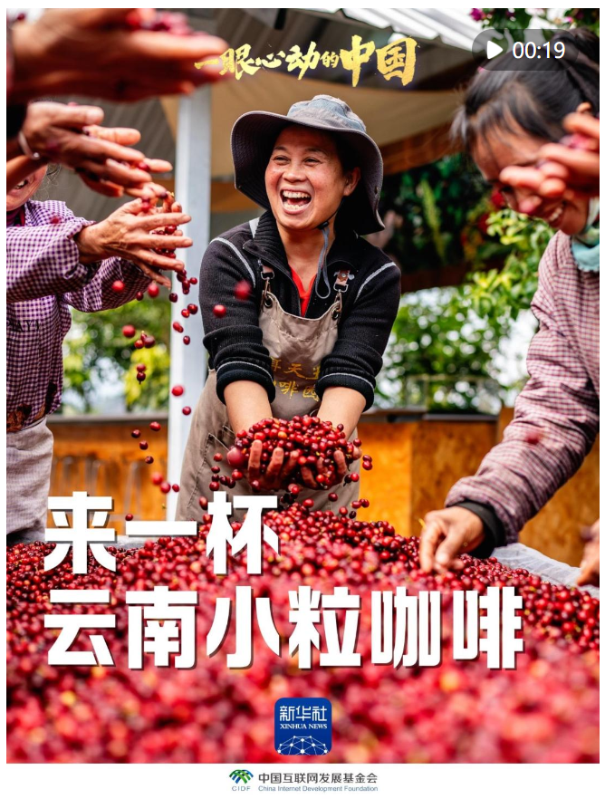 一眼心動(dòng)的中國｜來一杯云南小?？Х? width=