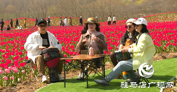 【邀您打卡】3月22日，嵖岈山郁金香園盛大啟幕