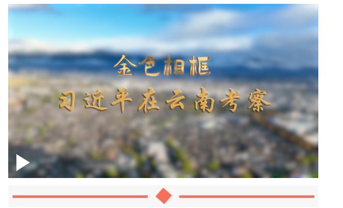 幸福生活，像花兒一樣綻放——習(xí)近平總書記在貴州和云南考察紀(jì)實(shí)