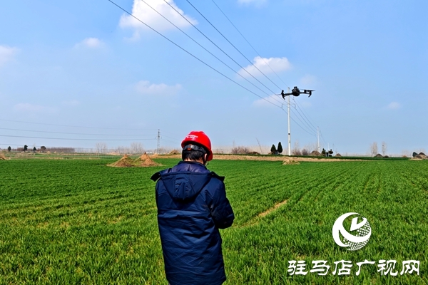   國網平輿縣供電公司：無人機巡線護航春耕