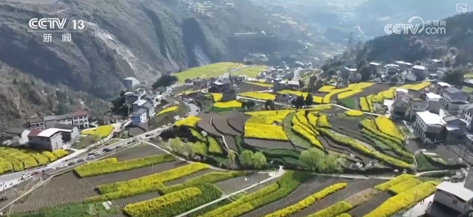 春賞花、夏榨油、秋收糧 “賞花+”扮“靚”經(jīng)濟(jì)新增長(zhǎng)點(diǎn)
