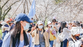 跟團旅游回程沒票，要不要付尾款