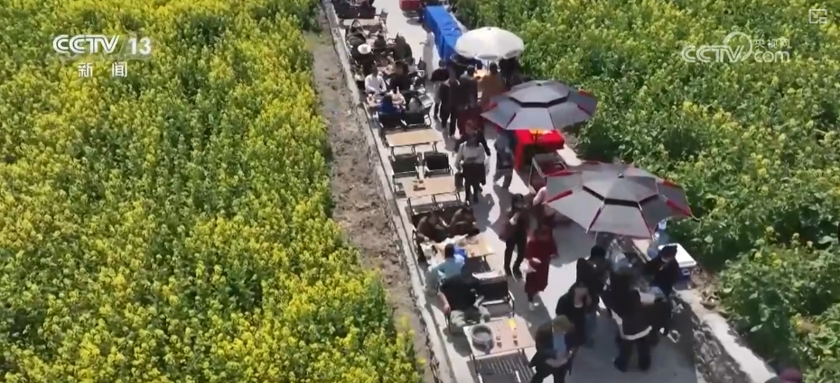 春賞花、夏榨油、秋收糧 “賞花+”扮“靚”經(jīng)濟(jì)新增長(zhǎng)點(diǎn)
