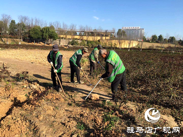 確山縣住建局：春季綠化養(yǎng)護(hù)忙，不負(fù)春景好時(shí)光