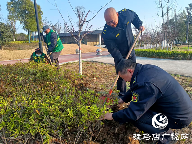 確山縣住建局：春季綠化養(yǎng)護(hù)忙，不負(fù)春景好時(shí)光