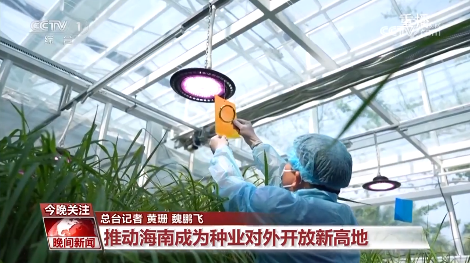黑紫色玉米、棕色秋葵……你見過的、沒見過的瓜果蔬菜這都有！