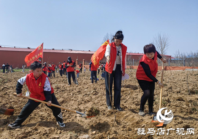 志愿紅播種生態(tài)綠 公益團體攜手共筑“希望之林”