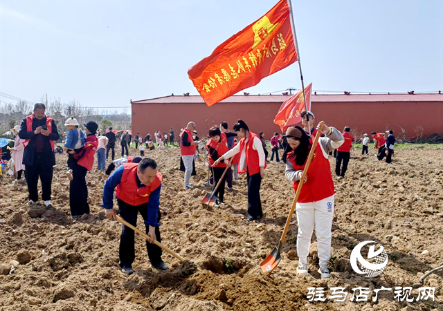 志愿紅播種生態(tài)綠 公益團體攜手共筑“希望之林”