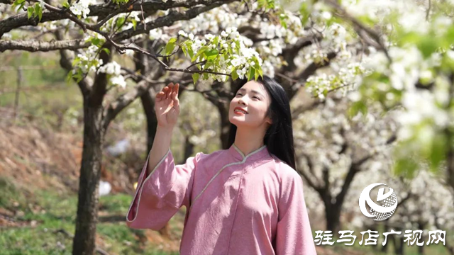 泌陽縣：融媒女主播邀您云游馬谷田 感受漫山遍野花海盛宴