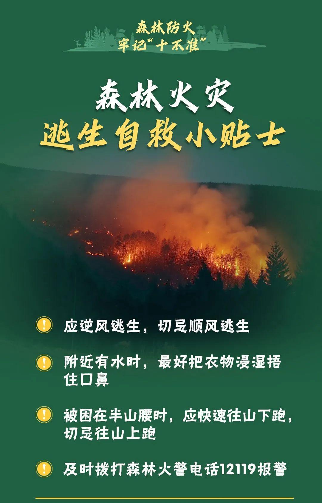 山火連發(fā)，原因公布！多地拉響紅色預(yù)警→