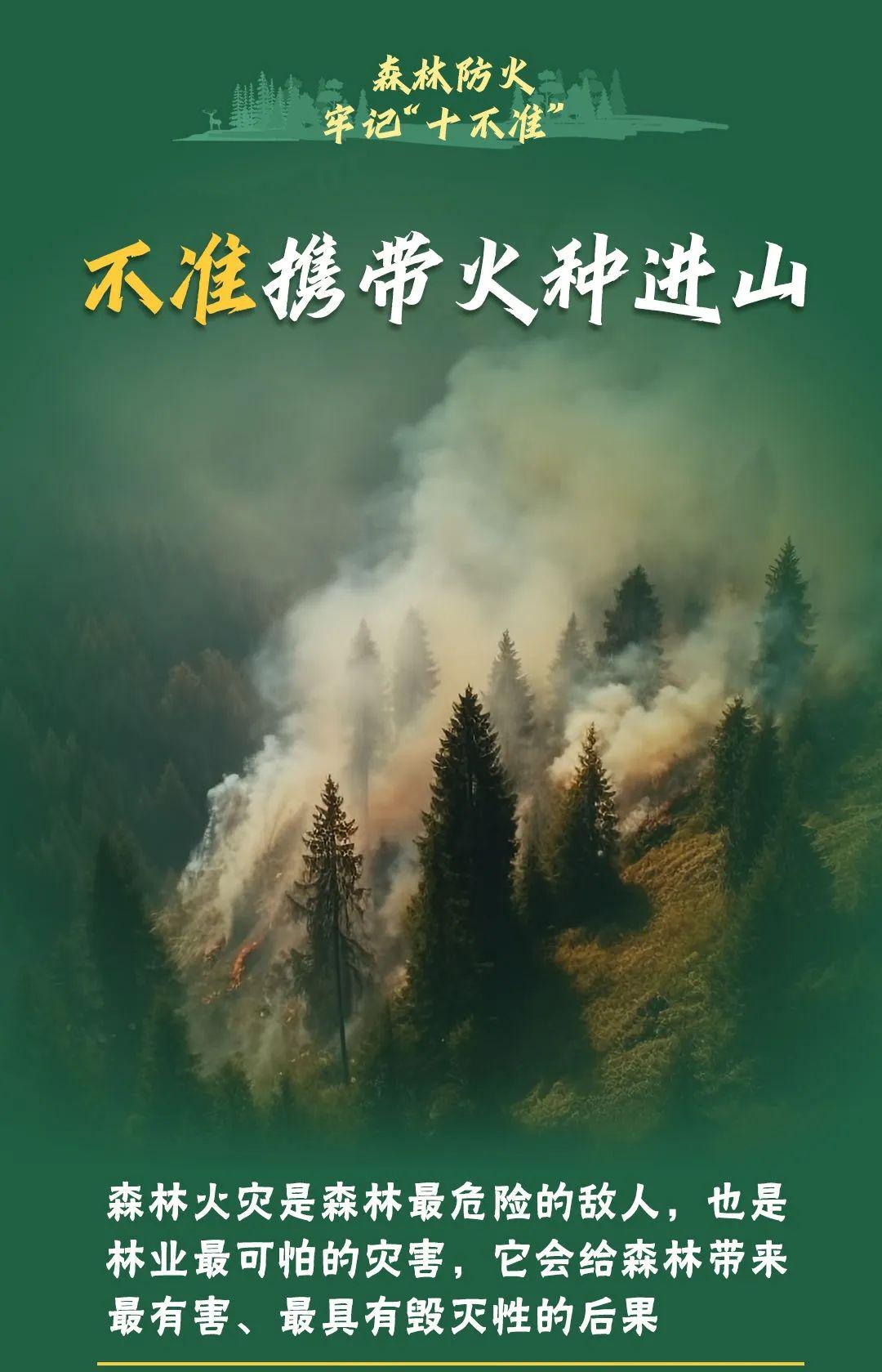 山火連發(fā)，原因公布！多地拉響紅色預(yù)警→