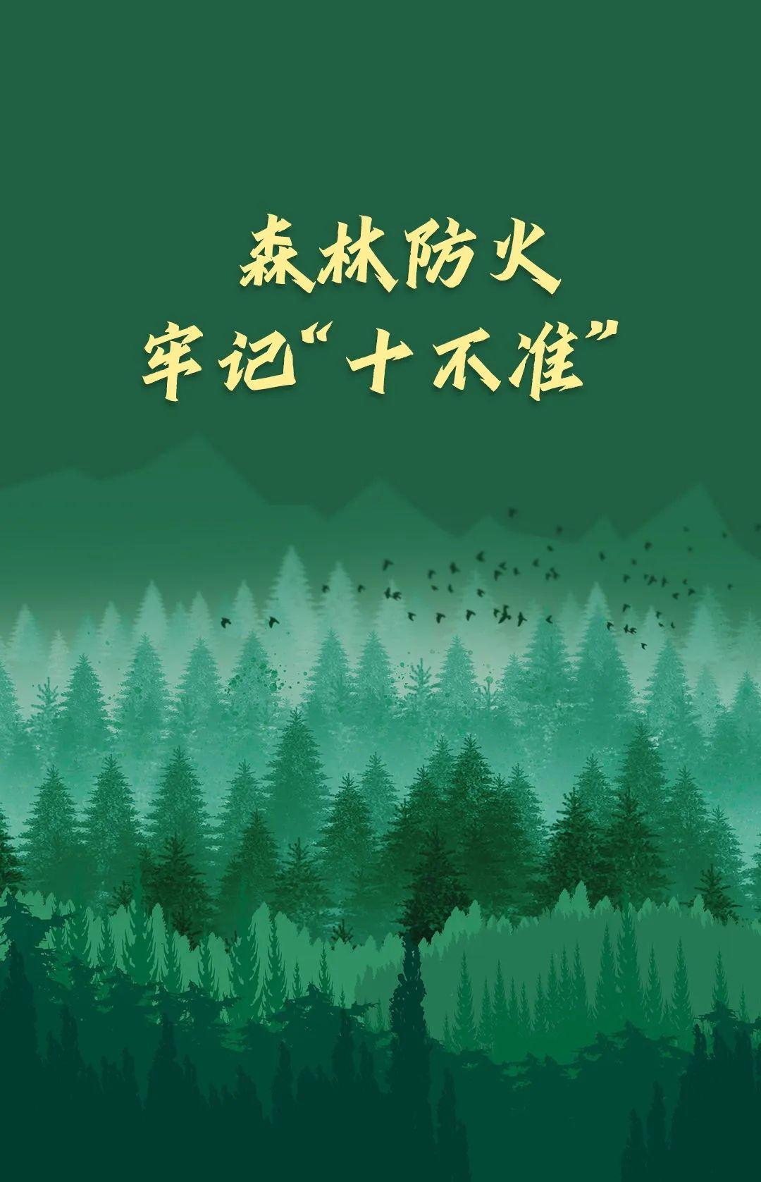 山火連發(fā)，原因公布！多地拉響紅色預(yù)警→