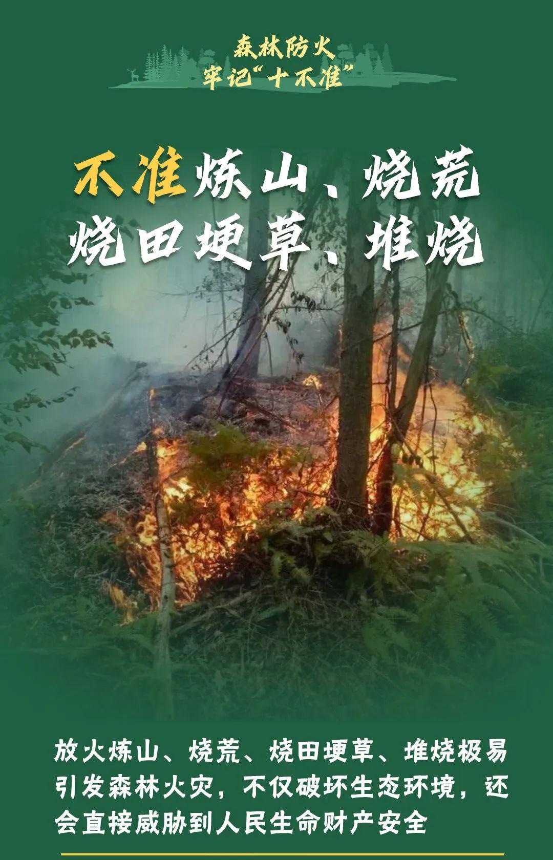 山火連發(fā)，原因公布！多地拉響紅色預(yù)警→