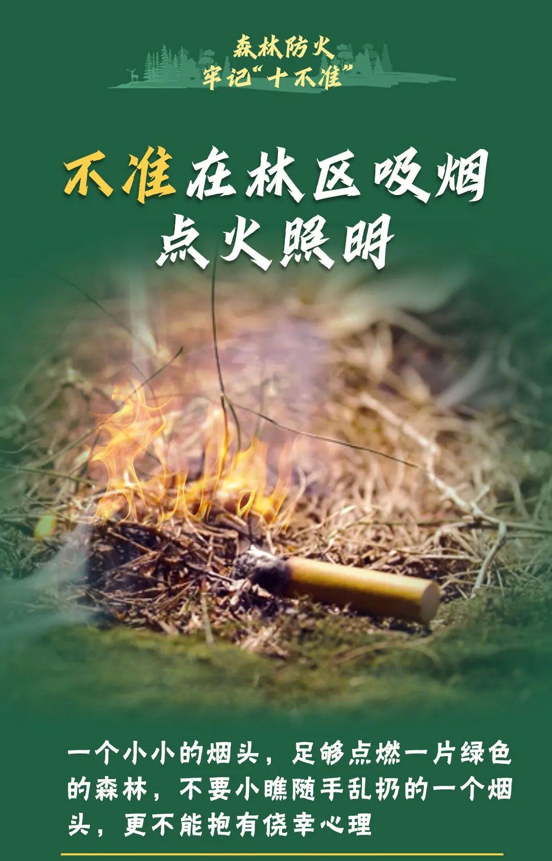 山火連發(fā)，原因公布！多地拉響紅色預(yù)警→