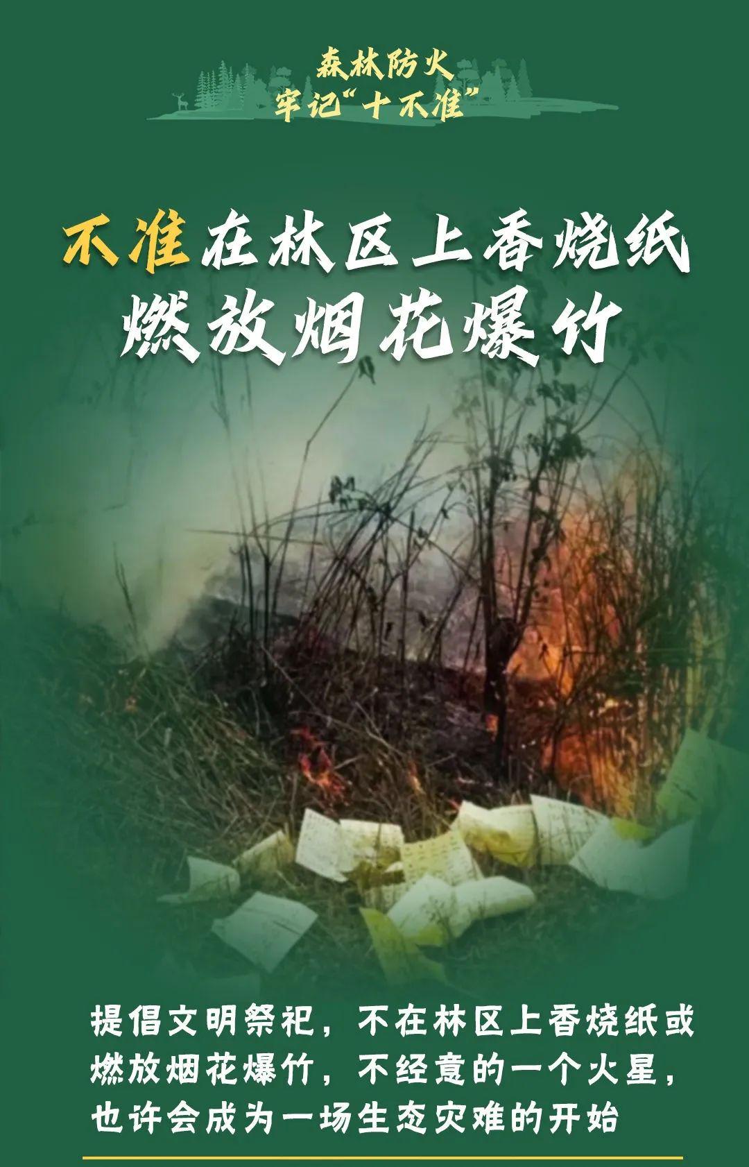 山火連發(fā)，原因公布！多地拉響紅色預(yù)警→