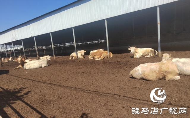 駐馬店市動物防疫檢疫中心發(fā)布4月份動物預(yù)警預(yù)報