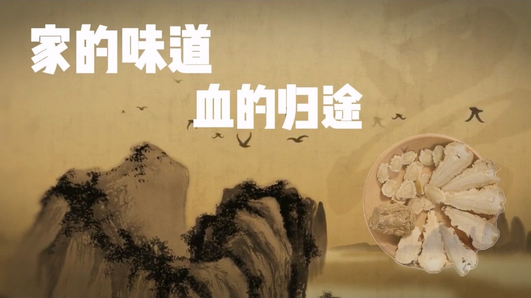 家的味道，血的歸途——駐馬店市中醫(yī)院