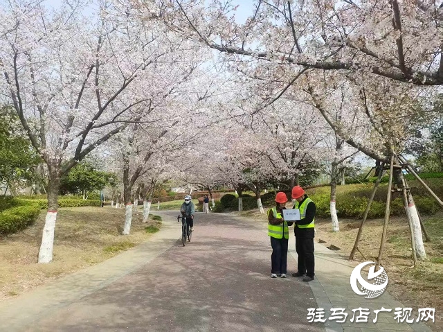 駐馬店移動(dòng)全力保障遂平縣櫻花大道打卡地信號(hào)暢通