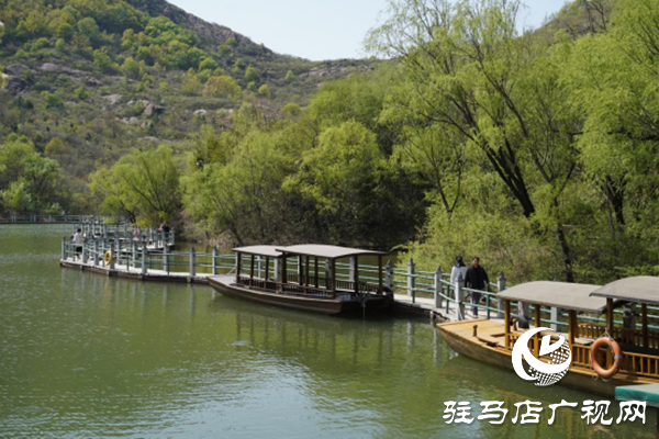 駐馬店各縣區(qū)網絡名人齊聚遂平 共尋天中最美春天