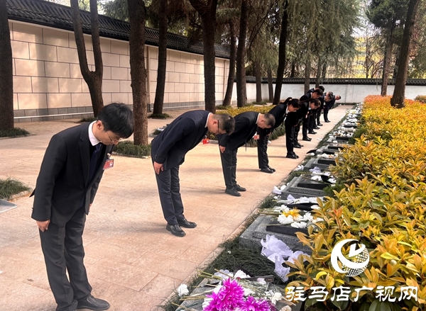  平輿公交組織黨員干部開展“緬懷革命先烈，傳承紅色精神”主題黨日活動(dòng)