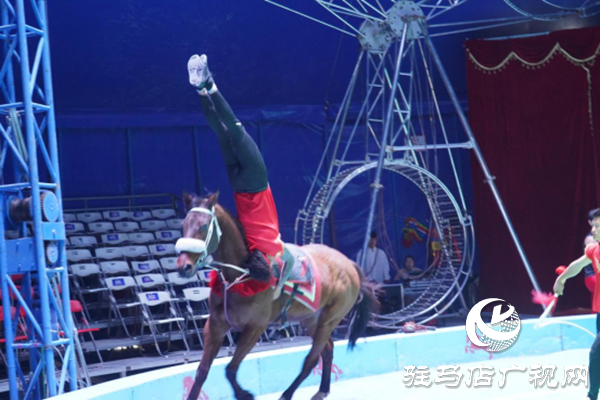 駐馬店各縣區(qū)網絡名人齊聚遂平 共尋天中最美春天