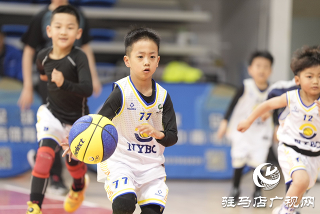 2024——2025賽季中國人壽·NYBO青少年籃球公開賽駐馬店賽區(qū)啟幕