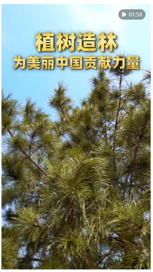 第1視點(diǎn)｜植樹造林 為美麗中國貢獻(xiàn)力量