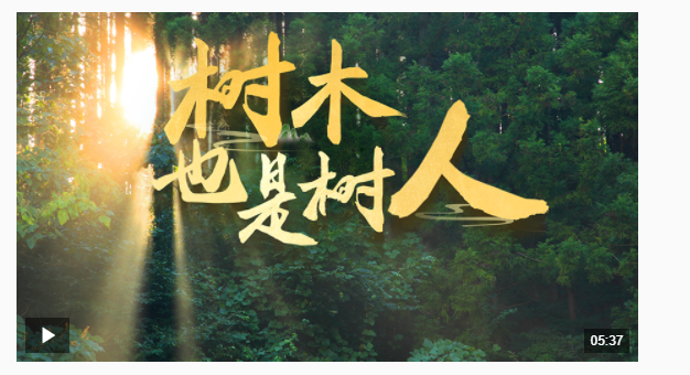 近觀“兩山” | 樹木，也是樹人
