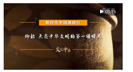 新時代中國調(diào)研行之文化中華·國寶故事｜仰韶 點(diǎn)亮中華文明的第一縷曙光