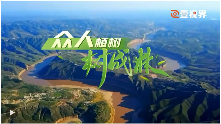 壹視界·微視頻｜眾人植樹(shù)樹(shù)成林