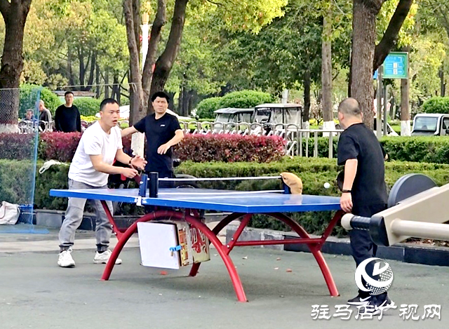 暖意襲人！駐馬店本周氣溫沖擊30℃