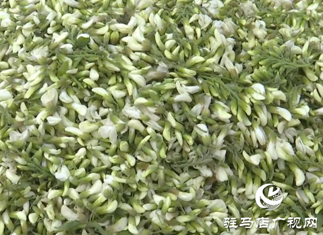 春天的味道！槐花