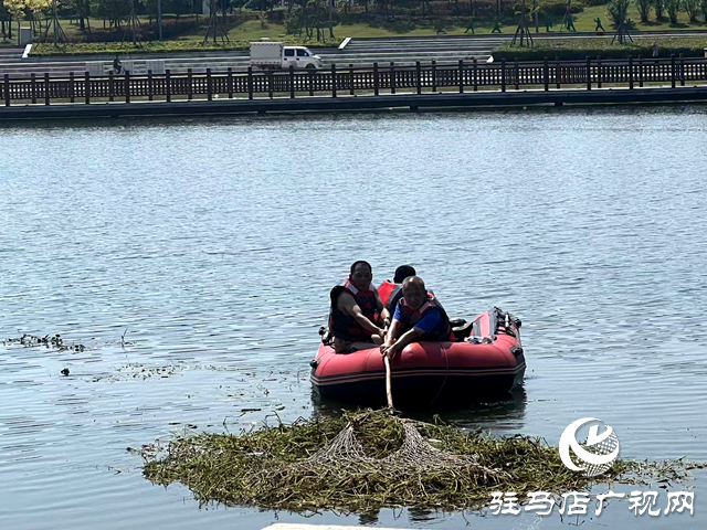 守護(hù)一城碧水！確山縣住建局清淤除草保河暢水清