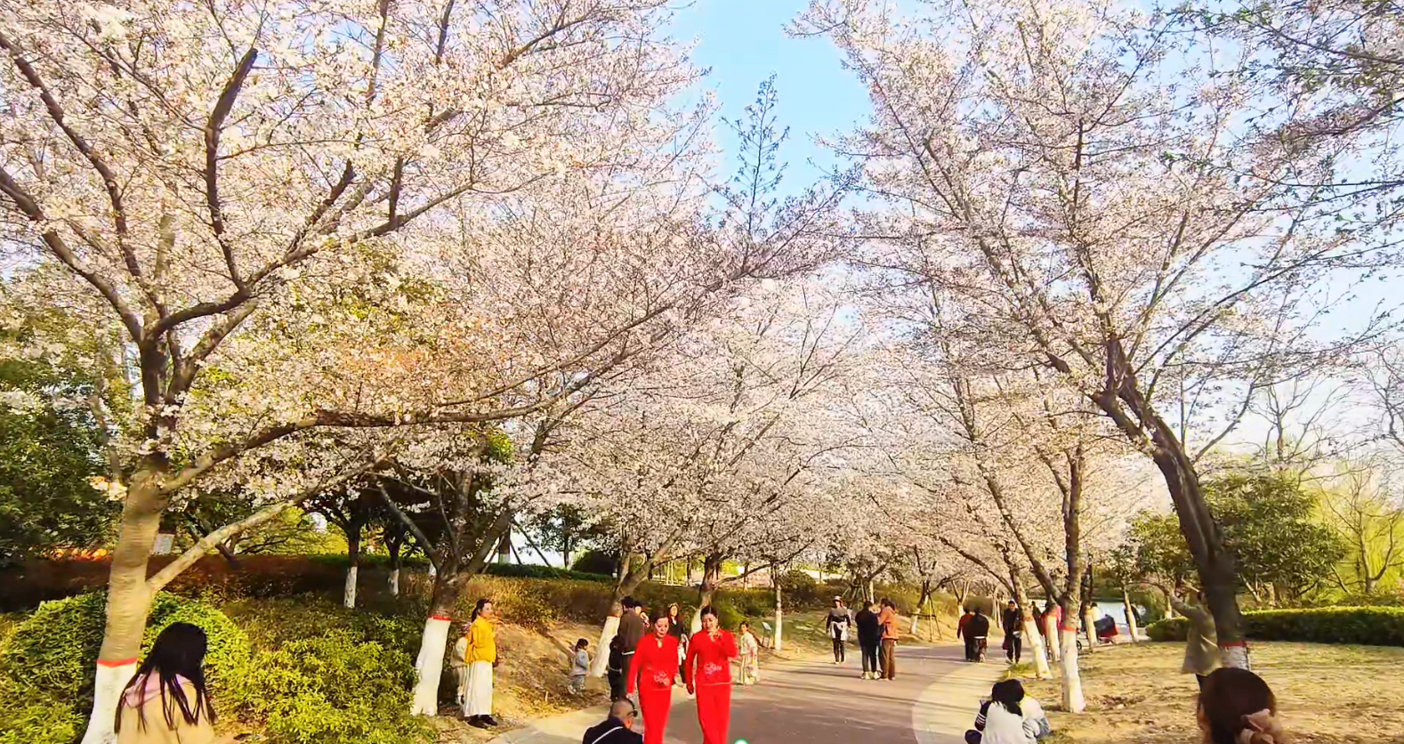 【城市旅游年票】讓你隨時隨地開啟精彩旅程！