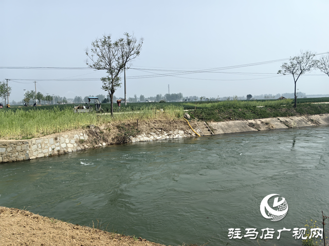 驛城區(qū)沙河店鎮(zhèn)：干群聯(lián)動保春管 科學(xué)澆水護糧安全