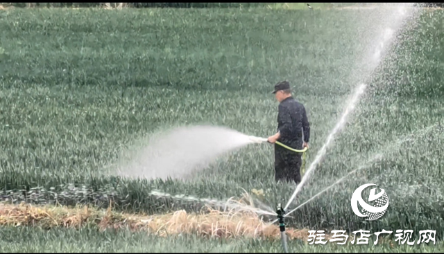 驛城區(qū)板橋水庫開閘放水 助力農田灌溉